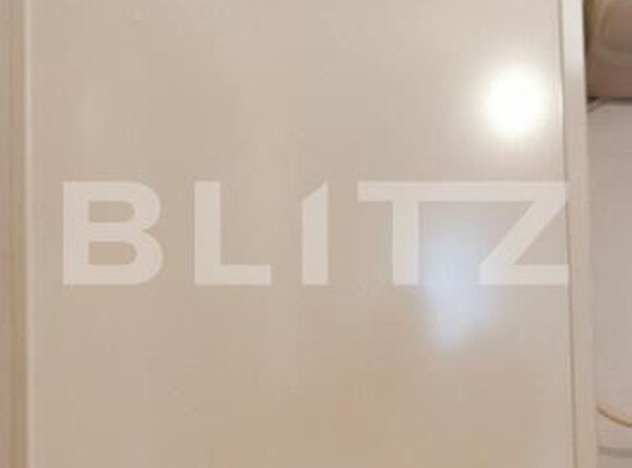 Apartament de închiriat 2 camere Iosefin - 173558AI | BLITZ Timișoara | Poza7