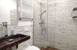 Apartament de vanzare, 2 camere, modern, cladire istorica renovata, Parcul Doja