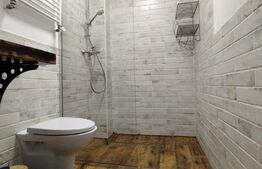 Apartament de vanzare, 2 camere, modern, cladire istorica renovata, Parcul Doja