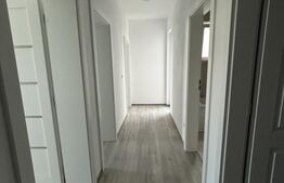 Apartament cu 2 camere, complet decomandat, terasa mare, zona asfaltata Giroc.
