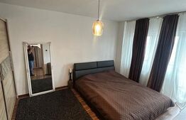 Apartament de vanzare, cu 3 camere, 47 mp utili, zona Sagului 