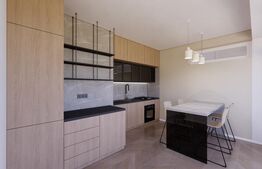 Penthouse Calea Urseni