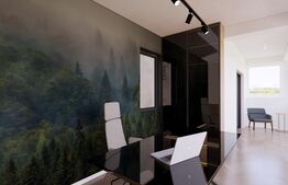 Penthouse Calea Urseni