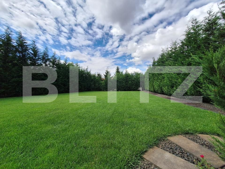 Casa de vânzare 6 camere Lunei - 173894CV | BLITZ Timișoara | Poza6