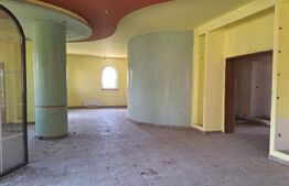 Casa individuala renovabila, de vanzare, cu 5 camere, 5000 mp teren, zona Plopi