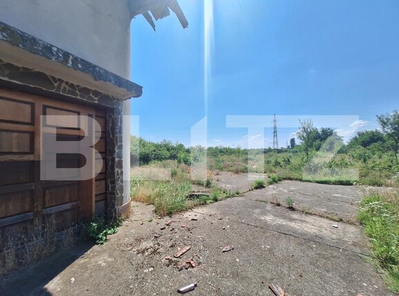 Casa de vânzare 5 camere Plopi - 173979CV | BLITZ Timișoara | Poza13