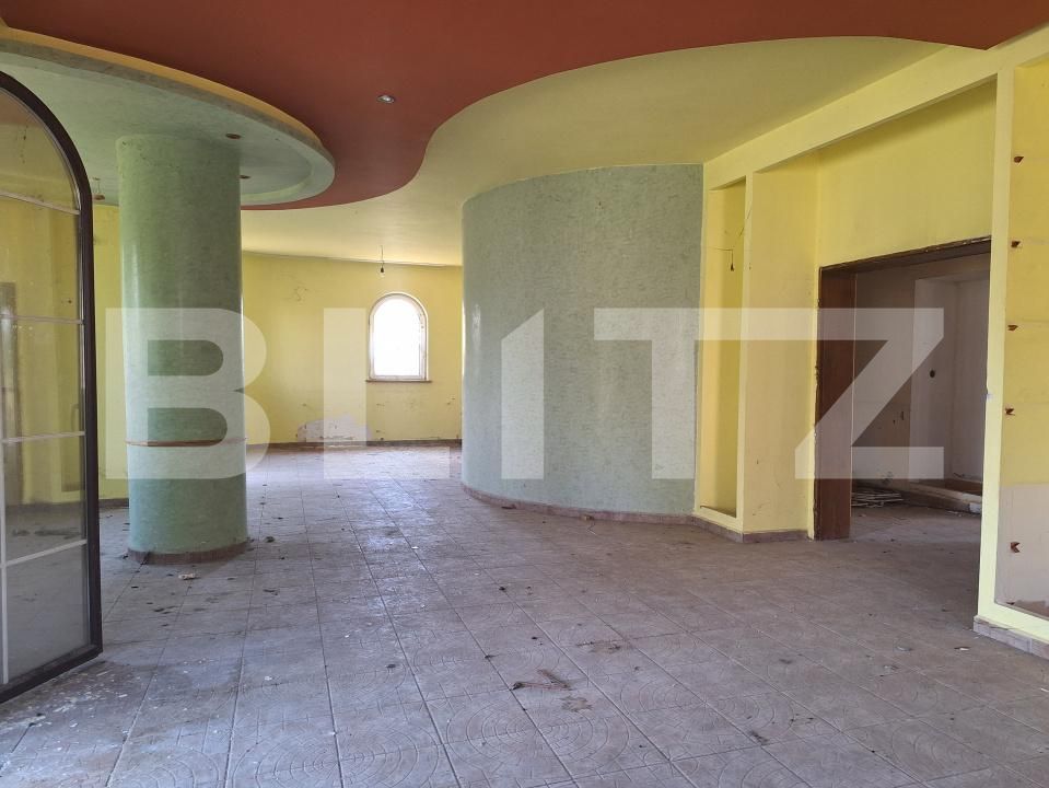 Casa de vânzare 5 camere Plopi - 173979CV | BLITZ Timișoara | Poza3