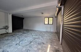 OPORTUNITE! Casa individuala, 8 camere, 3 garaje, 3 terase, teren 850mp, Mehala