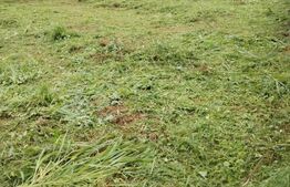 Teren de vânzare Remetea Mare - 149173TV | BLITZ Timișoara | Poza1