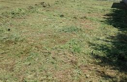 Teren casa individuală, Dumbrăvița