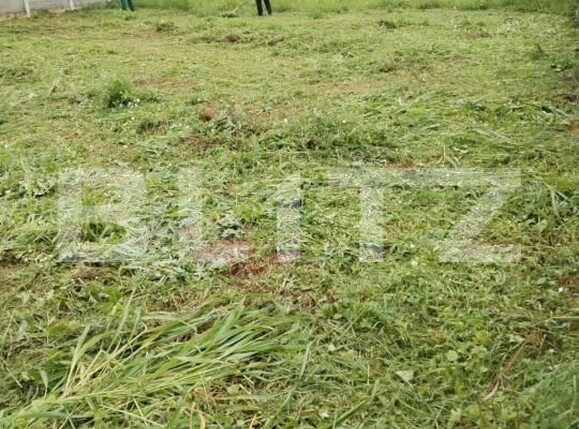 Teren de vânzare Dumbravita - 174338TV | BLITZ Timișoara | Poza1