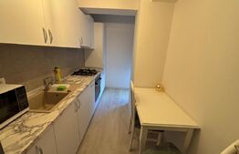 Apartament 2 camere, design rafinat, zona Aradului