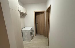 Apartament 2 camere, design rafinat, zona Aradului