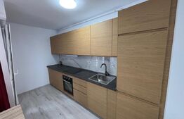 Apartament 2 camere, design elegant, disponibil imediat, zona Aradului