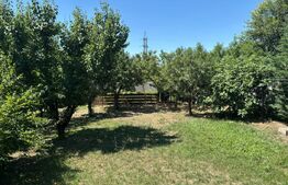 Casă de vânzare în Dumbrăvița – locație centrală