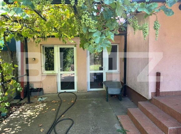 Casa de vânzare 4 camere Dumbravita - 174665CV | BLITZ Timișoara | Poza4