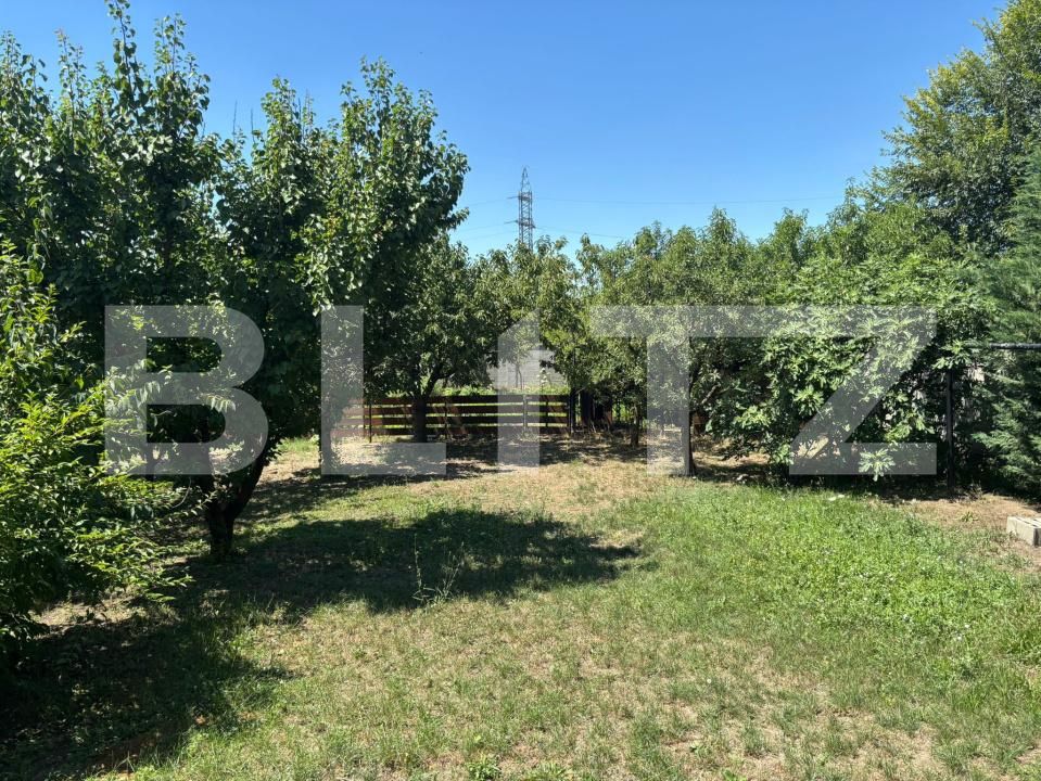 Casa de vânzare 4 camere Dumbravita - 174665CV | BLITZ Timișoara | Poza3