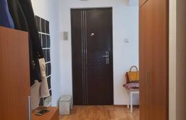 Apartament de vanzare, cu 1 camera, decomandat, bloc izolat,  zona Blascovici
