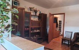 Apartament de vanzare, cu 1 camera, decomandat, bloc izolat,  zona Blascovici