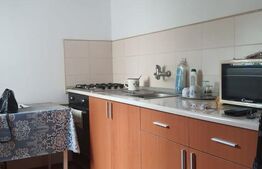 Apartament de vanzare, cu 1 camera, decomandat, bloc izolat,  zona Blascovici