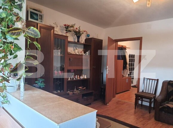 Garsonieră de vânzare Blascovici - 174723AV | BLITZ Timișoara | Poza5