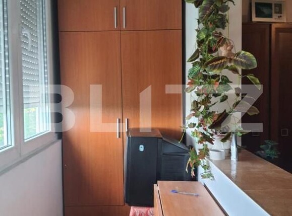 Garsonieră de vânzare Blascovici - 174723AV | BLITZ Timișoara | Poza4