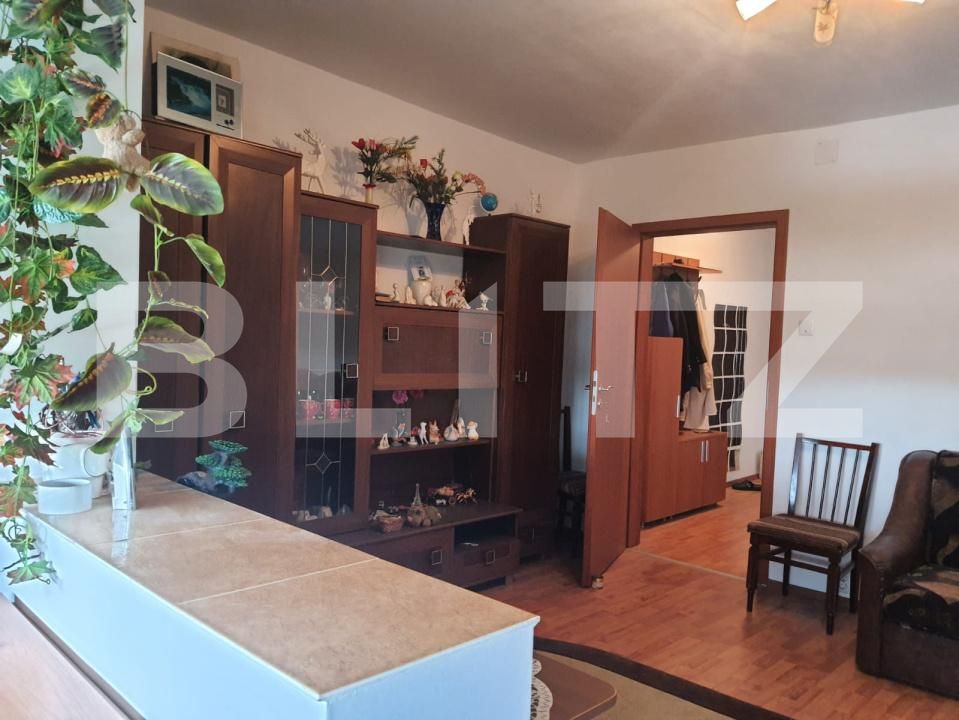Garsonieră de vânzare Blascovici - 174723AV | BLITZ Timișoara | Poza5