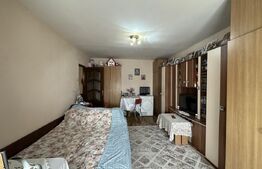 Apartament cu o camera, mobilat, Buziasului