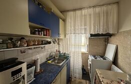 Apartament cu o camera, mobilat, Buziasului