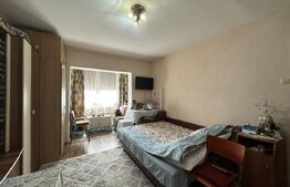 Apartament cu o camera, mobilat, Buziasului