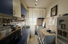 Apartament cu o camera, mobilat, Buziasului