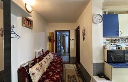 Apartament cu o camera, mobilat, Buziasului