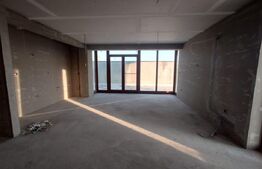 Apartament cu 2 camere, etaj intermediar, terasa, Braytim