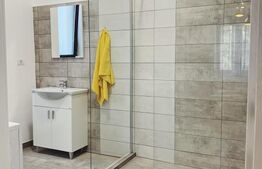 Apartament doua camere, cladire istorica, zona Medicina