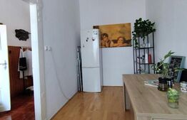 Apartament 3 camere, cladire istorica cu poveste-  Iosefin, început de secol XX