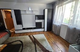 Apartament de vânzare 2 camere Sud - 184384AV | BLITZ Timișoara | Poza4