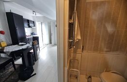  Apartament de vanzare, cu 2 camere in Centrul Timisoarei