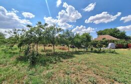 Casa cu teren intravilan, 4600 mp, investiitii/dezvoltare!