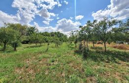 Casa cu teren intravilan, 4600 mp, investiitii/dezvoltare!