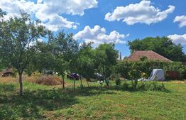 Casa cu teren intravilan, 4600 mp, investiitii/dezvoltare!