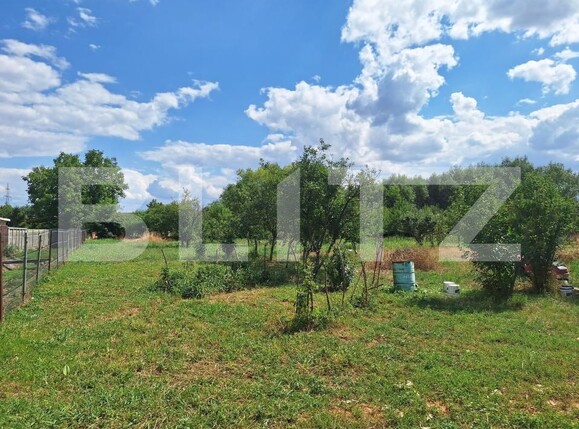 Casa de vânzare 3 camere Plopi - 175034CV | BLITZ Timișoara | Poza4