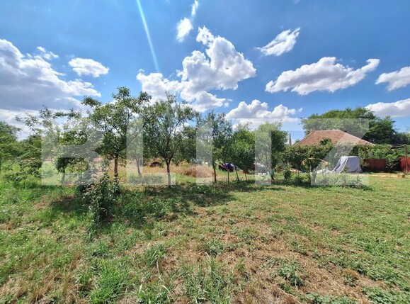 Casa de vânzare 3 camere Plopi - 175034CV | BLITZ Timișoara | Poza7