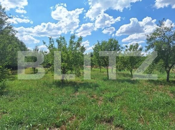 Casa de vânzare 3 camere Plopi - 175034CV | BLITZ Timișoara | Poza5