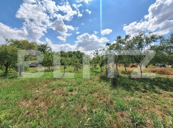 Casa de vânzare 3 camere Plopi - 175034CV | BLITZ Timișoara | Poza6