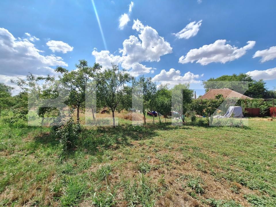 Casa de vânzare 3 camere Plopi - 175034CV | BLITZ Timișoara | Poza7