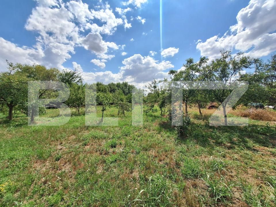 Casa de vânzare 3 camere Plopi - 175034CV | BLITZ Timișoara | Poza6