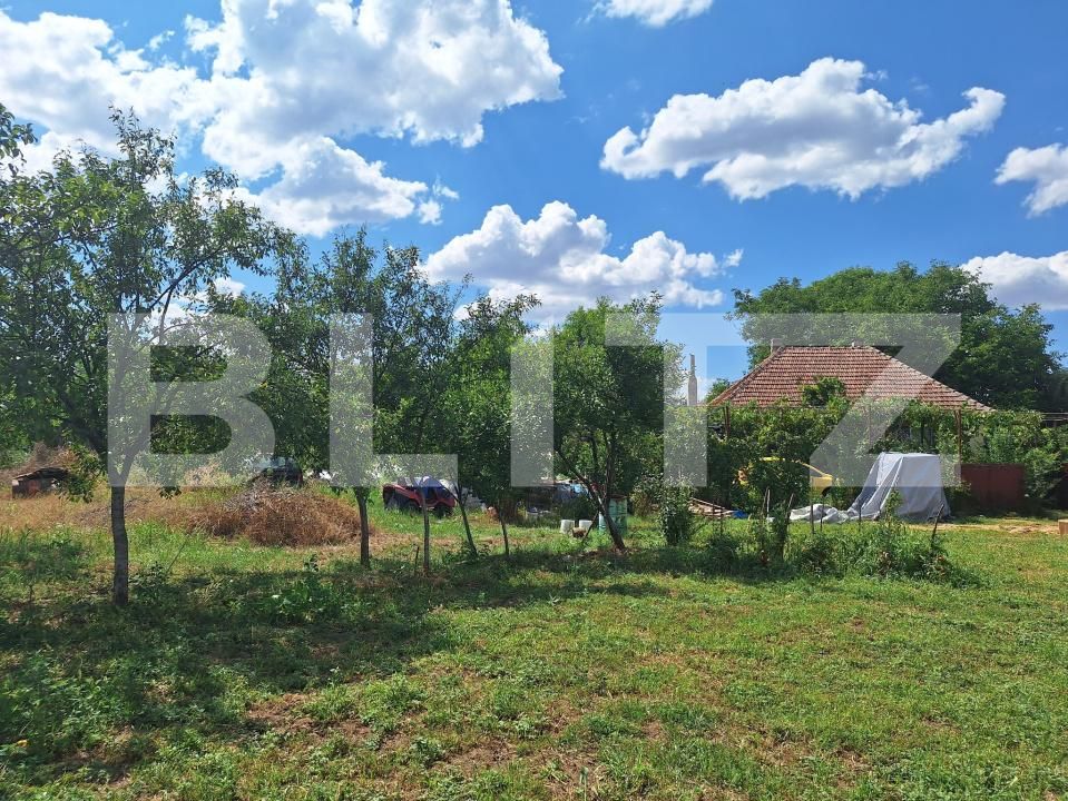 Casa de vânzare 3 camere Plopi - 175034CV | BLITZ Timișoara | Poza2