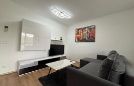 Apartament 2 camere, vedere panoramica superba, zona Lipovei