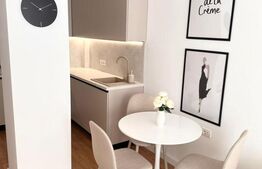 Apartament de inchiriat, 2 camere, premium, parcarea inclusă, zona Torontalului