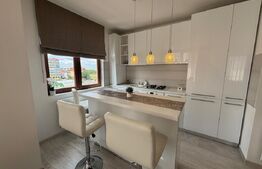 Apartament de inchiriat, cu 2 camere, design contemporan, zona Calea Aradului